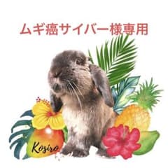 ムギ癌サイバーさん専用　青パパイヤのサムネイル
