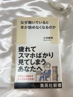 【美品】なぜ働いていると本が読めなくなるのかのサムネイル