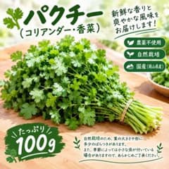 パクチー 100g 岡山県産 農薬不使用 自然栽培 新鮮のサムネイル