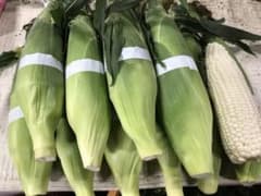 北海道産 とうもろこし ホワイトレディ 白いとうもろこし 10本入りのサムネイル