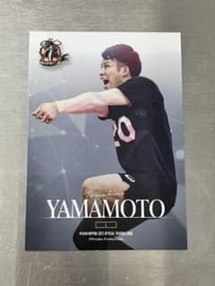 龍神NIPPON バレーボール 山本智大選手 カードのサムネイル