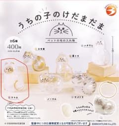 うちの子のけだまだま シャムのサムネイル