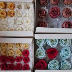 M.M.BONITAさん専用のサムネイル