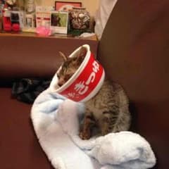 あ 様 専用のサムネイル
