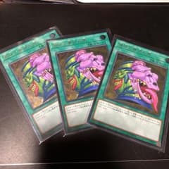 遊戯王 強欲で貪欲な壺 3枚 レリーフのサムネイル