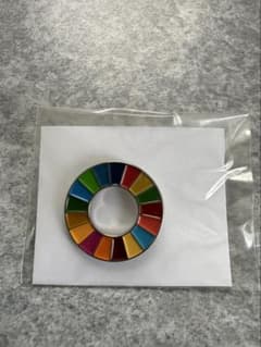 SDGsピンバッジ 新品 未開封のサムネイル