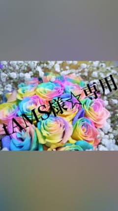 tAMS様☆専用のサムネイル