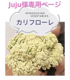 Juju様専用ページのサムネイル