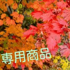 はちゅね さま 専用のサムネイル