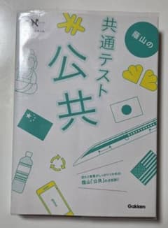 共通テスト 公共 蔭山の公共の決定版のサムネイル