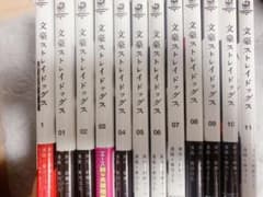 文豪ストレイドッグス 1〜11巻  BEAST 1巻のサムネイル