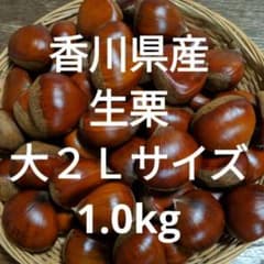 香川県産　生栗 大２Ｌ 1.0kgのサムネイル