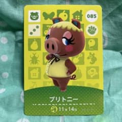 매달린 도부츠의 숲 amiibo 카드 브리트니 085