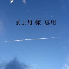 まょ母 様専用▷天然石▷淡水パールとチェーンのノンホールピアスのサムネイル