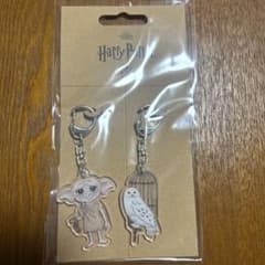 ハリー・ポッター アクリルキーホルダー 2個セット - メルカリ