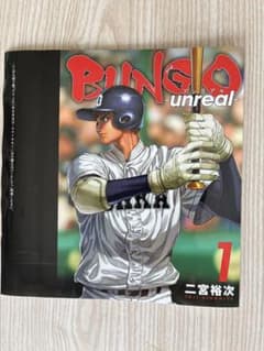 BUNGO unreal 1 掛替カバーのサムネイル