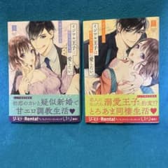 初版/帯付『イジワル王子はめちゃくちゃに愛したい。 上下巻 』すずくら はるのサムネイル