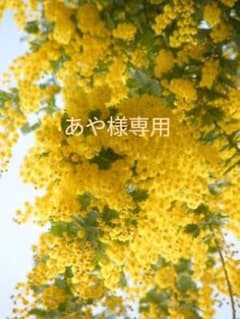 あや様専用　ミモザロングのサムネイル