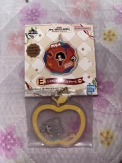 Mrs. GREEN APPLE 이치 반 쿠지 E상 샤카샤카 아크릴 매력
