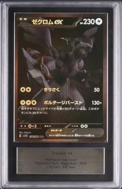 【ARS10+】現在世界9枚 ゼクロムex BWR 174 鑑定書付 取得率4％ ARS10+】現在世界9枚 ゼクロムex BWR 174 鑑定書付 取得率4％ - メルカリ