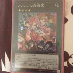 フレシアのこわくまSRのサムネイル