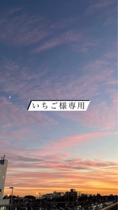 いちご様専用のサムネイル