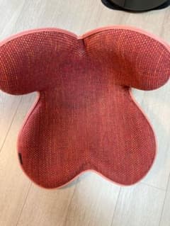 Style 座椅子　購入時期　昨年末のサムネイル