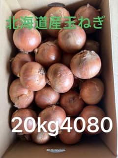 北海道産玉ねぎ 20kg サイズ2L 訳ありじゃない　 とても綺麗お玉ねぎのサムネイル