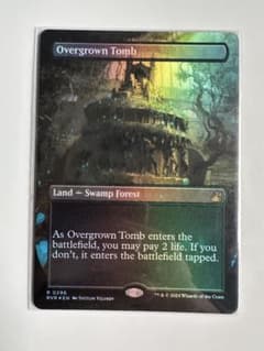 草むした墓　Overgrown Tomb ボーダーレス　英語　RVR 草むした墓 Overgrown Tomb ボーダーレス 英語 RVR - メルカリ