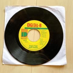 Shaka Shamba Reggae Flight レゲエレコードのサムネイル