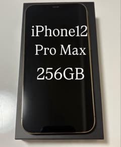 iPhone12 Pro Max 256GB SIMフリー　美品　最終値下げのサムネイル