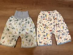 恐竜柄と乗り物柄のおねしょパンツ2点セットのサムネイル