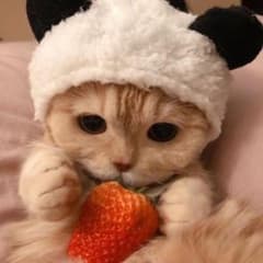 あずき様専用のサムネイル