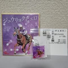 レア】ジュウリョクピエロ グッズ - メルカリ