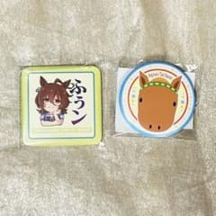 ウマ娘 アグネスタキオン すくえあくる缶バッジ サラブレッド