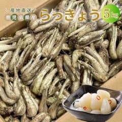 毎年人気！鹿児島産 らっきょう 10kg パリッと食感！76 毎年人気！鹿児島産 らっきょう 5kg パリッと食感！24 - メルカリ