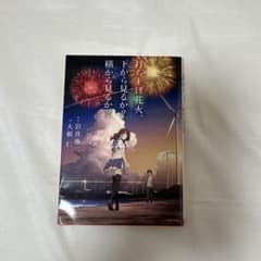 打ち上げ花火、下から見るか？横から見るか？ 岩井俊二 - メルカリ