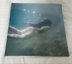 青葉市子　海外版『アダンの風』　アナログ レコード　2LP 新品未開封品 青葉市子 アダンの風 (国内盤1stプレス2枚組アナログレコード)＋