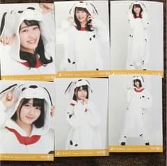 乃木坂46 生写真 干支 戌 向井葉月 中村麗乃 コンプセットのサムネイル