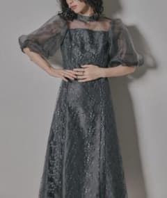 美品 niana ニアナ オーガンジーパフスリーブ刺繍レース М 結婚式