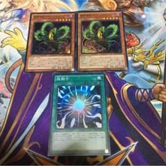 捕食植物 ドロソフィルムヒドラ&超融合のサムネイル