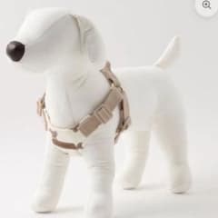 moncheri くまさん柄 ハーネス 胴輪 犬用 Sのサムネイル