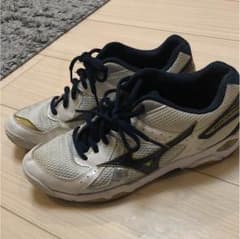 ミズノ バレーシューズのサムネイル