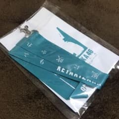 欅坂46 風に吹かれても チケットホルダーのサムネイル