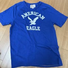 ゴールデンウィーク値下げAMERICAN EAGLE クラシックTシャツ Lのサムネイル