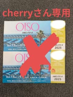 大磯ロングビーチ プール券 2枚セットのサムネイル