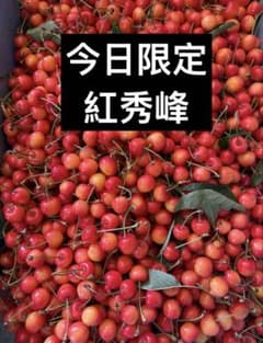 山形県産さくらんぼ　紅秀峰　訳あり品　家庭用1kgのサムネイル