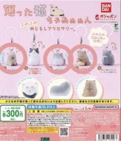 怒った猫ちゃあぁぁん ふみふみ めじるしアクセサリー 3点セットのサムネイル