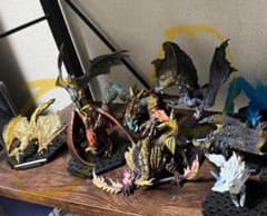 菊地様　ゴアマガラ・リオレイア希少種のサムネイル
