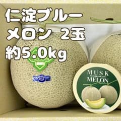 ♪300円～ 贈答用 仁淀ブルー 温室マスクメロン 高知産2玉入り 約5.0